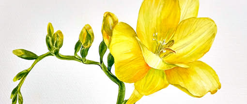 After Work: Die Frühblüher - Botanische Fundstücke in Aquarell